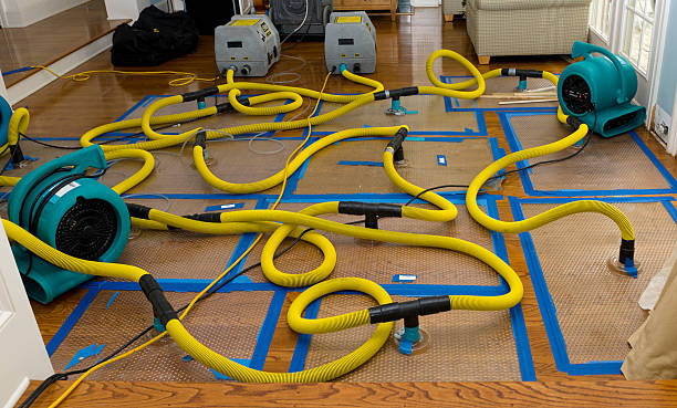 Professional Burst Pipe Water Damage technician working in Kinde, MI