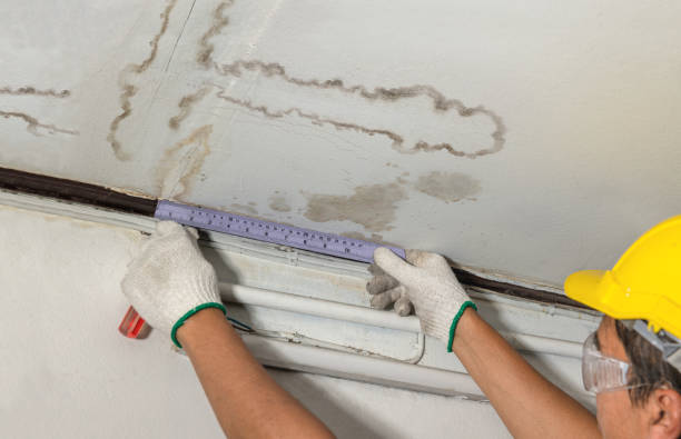 Affordable Burst Pipe Water Damage solutions in Kinde, MI